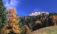 clicca per vedere la foto ingrandita